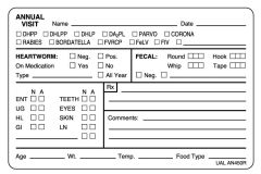 Annual Examination Record Label, 4" x 2-5/8"