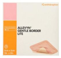 Allevyn Gentle Border Adhesive Dressings by Smith & Nephew UTD6020403CSZ