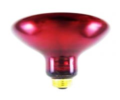 IR Bulb 175 Watt Ruby