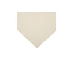 Rolyan Polyform - 1/8" x 18" x 24" - Solid - Single - Beige
