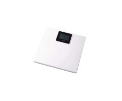Economy Digital Scale