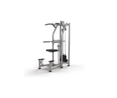 Matrix Magnum Series Configurable Multi-Stations - Dip/Chin Assist
