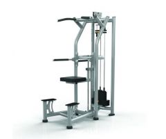 Matrix Magnum Series Configurable Multi-Stations - Free-Standing Dip/Chin Assist