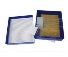 Control Slide Massons Tissue