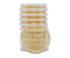 Prepared Media Lok-Tight™ Tryptic Soy Agar (TSA) with Lecithin and Tween® 80 Contact Plate