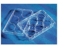 Multiwell Cell Culture Dish CellBind Polystyrene