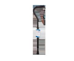 Offset Cane, Adult