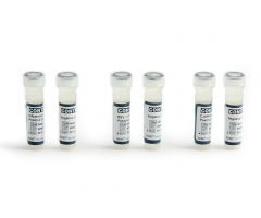 Molecular Diagnostic Control Set Quidel Influenza A + B Positive Level / Negative Level 3 X 2 mL