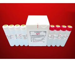 Reagent Kit K-ASSAY Immunochemistry / Specific