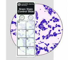 Microbial Identification Control Slide Gram Stain Positive Level 50 Slides
