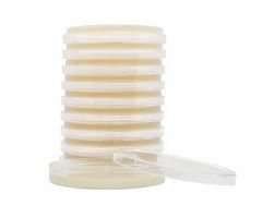 Prepared Media HardyCHROM Chromogenic Agar Urinary Tract Infections (UTI) Petri Plate Format
