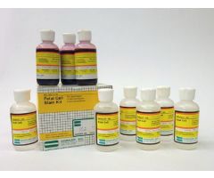 STAIN KIT, FETAL CELL (300TST/T)