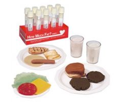 How Much Fat? Test Tube Display and Food Replica Set Test Tube Display - Part I (WA16053G) and Nasco Fats and Food Replica Kit