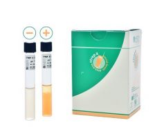 Prepared Media Strep B Carrot Broth Tube Format
