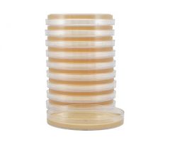 Prepared Media Tryptic Soy Agar (TSA) with Lecithin and Tween 80 Mono-Plate Format 1120438
