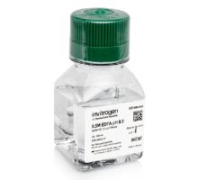 Biochemical Invitrogen Ambion EDTA (Disodium) Molecular Biology Grade 0.5 M / pH 8.0 100 mL