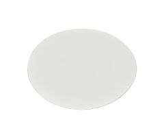 Nalgene Filter Membrane 0.45 m Pore Size, 47 mm Outer Diameter, White For use with Particulate and Microbial Analysis