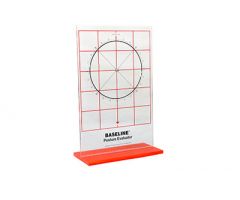 Baseline posture evaluator