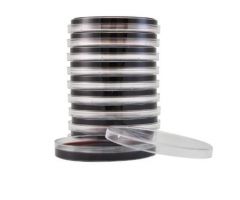 Prepared Media Regan-Lowe Agar Red Mono-Plate Format