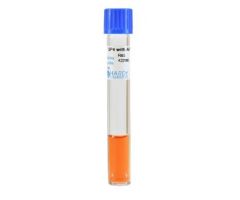 Culture Media SP4 Broth with Arginine