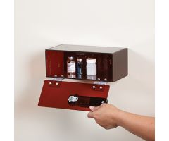 Locking Polycarb Wall Box, Amber, 10x4x5