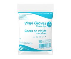 Vinyl Exam Gloves In A Bag, Large, Powder-Free, Clear