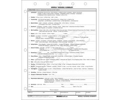 Weekly Nursing Summary