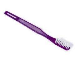 Toothbrush DawnMist Translucent Purple Adult Soft