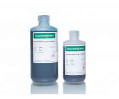 Alcian Blue Stain 0.1% Ph 2.5