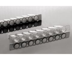 0.2ml PCR 8-strip Tubes, White, Non-sterile, 125/pk, 1250/cs