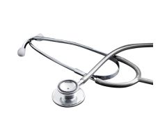 Dual Head Gray Stethoscope 22"