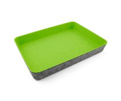 Pet Green Paper Tray Label 8.5L X 2.5W