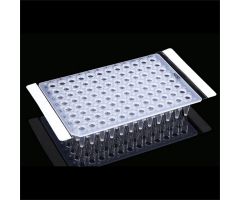 PCR heat seal film, 100/pk