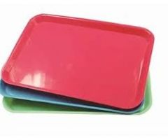 Red - Instru Tray - 16L X 11.75W In