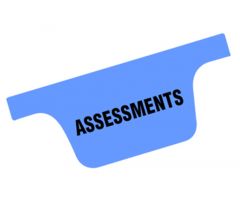 Chart Divider Tab - Assessments - Tyvek - Side