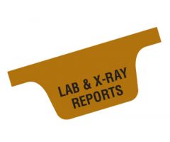 Chart Divider Tab - Lab & X-Ray Reports - Tyvek - Bottom