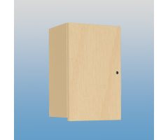 Wall Cabinet with Locking Overhang Door, 18 Inch - 5092YR