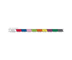 Chart Divider Set - Poly - Home Care - 10 Tabs Side