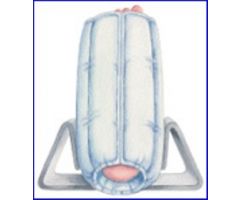 Foot Stabilizer Heel-Float Small / Medium Hook and Loop Closure Left or Right Foot