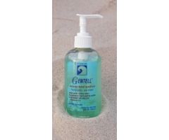 Hand Sanitizer with Aloe Gentell  4 oz. 681278EA