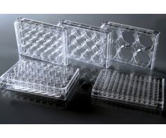 96 Well Cell Culture Plate, U-bottom, Non-Treated, sterile 1/pk, 100/cs