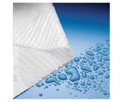 Towel Patient Plasbak 13.5 in x 18 in Blue 2 Ply Tissue / Poly 500/Ca