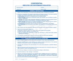 Employee Job Performance Evaluation Form