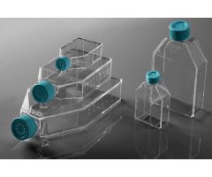 25cm2 Cell Culture Flask, Plug Seal Cap, Non-Treated, sterile, Maximum Working Volume 50mL, 10/pk, 200/cs
