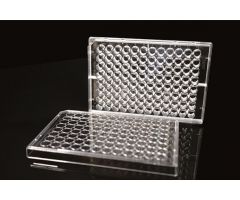 6 Well Low Evap EDGE Plate, Flat Bottom, TC, Sterile, 1/pk, 50/cs
