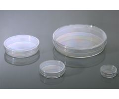 150mm Cell Culture Dish, TC, sterile 5/pk,100/cs