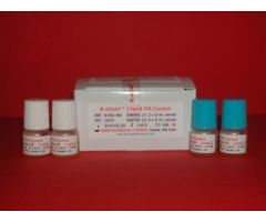 Control ITA 2 Levels 4 X 2 mL