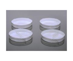 65 mm Petri Dish, with Safety Lock, Sterile, 20/pk, 500/cs