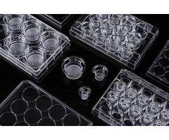 12 Cell Culture Inserts+24 Well Plate, 8.0 μm, PC Membrane, Translucent, TC, Sterile, 12/pk, 48/cs