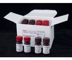 Liquid Assayed Control NOD General Chemistry Analytes 2 Levels 2 X 6 X 1 mL